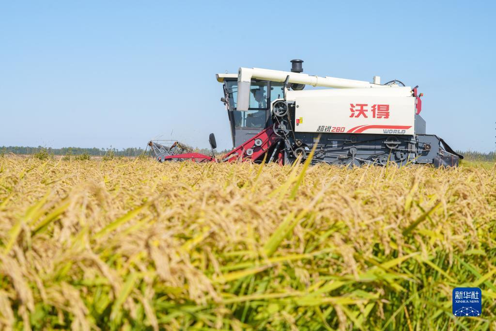 大奖网触屏版官网